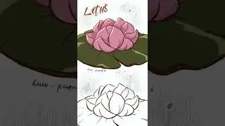 Animating flower blooming | #procreatedreams2 #animation #procreate #digitalart #art