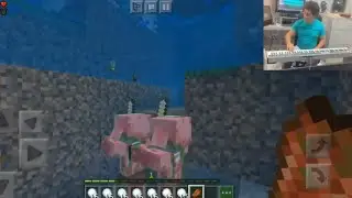 Pigstep minecraft music disc Lena Raine - Cidimar Lemes version