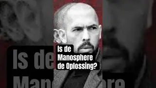 Waarom bestaat de Manosphere? #podcast