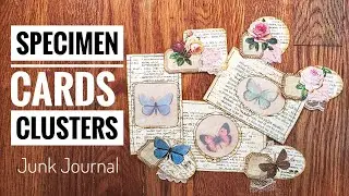 Specimen Cards - Clusters - Junk Journal