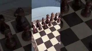MagnetMaster Travel Chess Set | Strong Magnets, Easy Play |Chess shop e4e5| #chess #chessgame