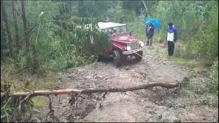 UMM Cournil deforestation Santo Tirso
