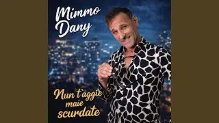 Nun T'Aggio Maie Scurdate