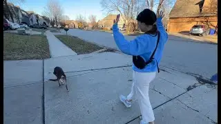 Hands Free Dog Leash Review &mdash; Adjustable 6‑in‑1 Crossbody, Waist & Dual‑Dog Lead