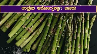 Bamboo for Health
