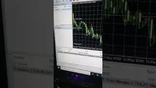 forex robot performance on eurusd 200usd to 4000usd