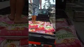 Trik kuli panggul