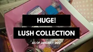 HUGE Lush Collection!