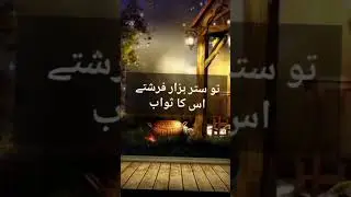 Roza Dar🤲🤲 #shortsvideo
