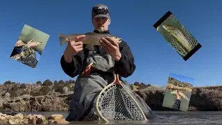HIGH DESERT Winter River Fishing for Brown Trout