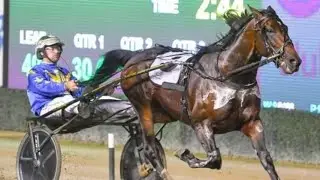 2024 Inter Dominion Trotting Championship 2300M Menangle Australia : The Locomotive (1:55:5)