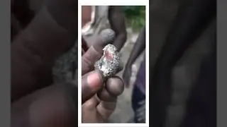 Cobalt Mines have Vibranium technology | check out the full video to find out ￼