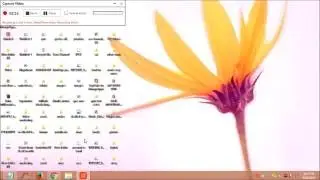 Fixed: DNS Server | Website fails to load