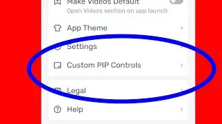 How To Use Mx Player  Custom Pip Control