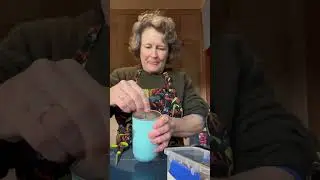 Sisel Gut Health Essentials  Why Pre & Probiotics Matter