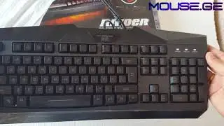 Microkingdom F1