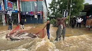World&rsquo;s First Fishing on a Flooded City&rsquo;s Main Road!😱 Catching Giant Fish Amid Traffic After Cyclone