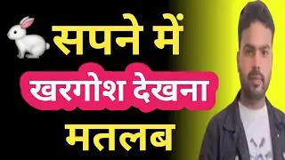 सपने में खरगोश देखना क्या संकेत देता है? |Dream meaning in hindi |
