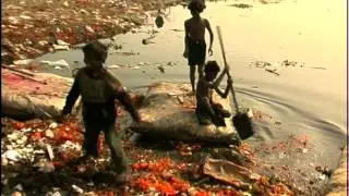 Delhi's slumdog ragpickers near Yamuna river bank