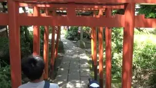 japan adventure40 Gojoten jinja shrine ueno park เจโอ๋ 20150517081812