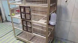 السلام عليكم قفص ديكور  حجم كبير ارتفاع ١٤٠ عرض ١٠٠ نزال٤٥ اكل شرب من بره جرار تنضيف رقم٠٧٧١٩٤٨٨٦٦٥