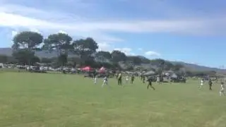 TEHEA soccer surf goalie