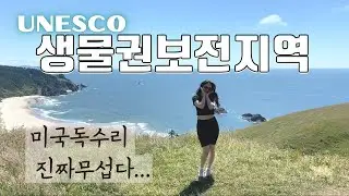 Cascade Head 포틀랜드에서 차로 2시간 | 여기 너무이쁜데 독수리 때문에 너무 무섭다