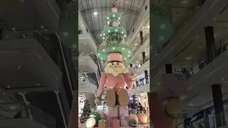 Nutcracker in lucknow#shorts #viral #trending #nutcracker  #lucknow