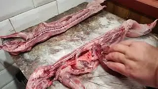 c&oacute;mo arreglar un conejo sin astillar los huesos