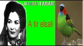 BAHIA FARAH A tir elɛali