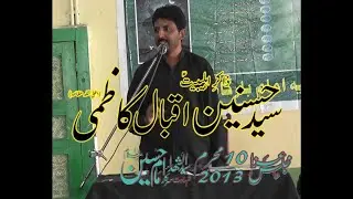 Zakir Syed Hasnain Iqbal Kazmi, 10 Muharram 2013, Chann Khushab