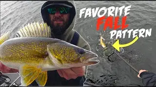 CRAZY Fall Walleye Bite in SUPER SHALLOW Water!