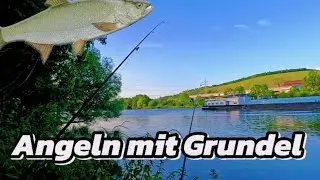 #angeln auf Rapfen 
