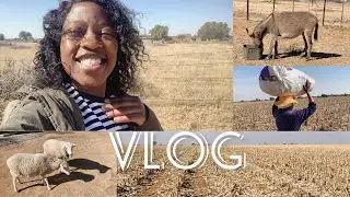 ISSA VLOG: Spend a few days with me emakhaya (NORTH WEST) madibogo pan📍