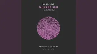 Following Light (Original Mix)