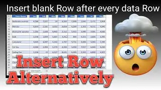 How to insert Blank Row after every data Row