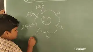 GFLN Language development activity 