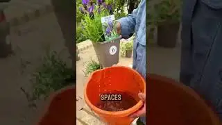Expert garden design made simple!⁠