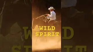 Cowboys, Horses & Freedom #wildhorses #westernvibes #shorts