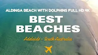 BEST BEACHES ADELAIDE - South Australia: Aldinga Beach with Magic Dolphins in Full HD 4K