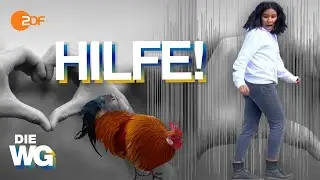 TIERISCHE Verfolgungsjagd!🐓 | Folge 11 - SNEAK PREVIEW | DIE WG