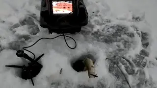 First Fishing Session of 2026! Ice Fishing for Walleye!!