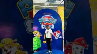 paw patrol/ paw patrol song/paw patrol music/paw patrol cartoon@DhimaanZala