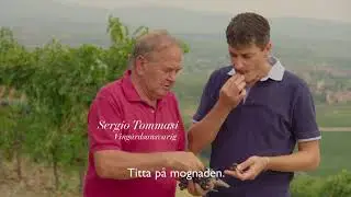 Hur tillverkas Amaronevin? | Vin & Mat - Passioner | Del 2
