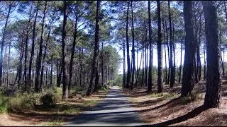 Le Porge Oc&eacute;an - Lacanau Oc&eacute;an par la piste cyclable 🌲🌞