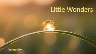 Little Wonders &ndash; Velora Sky (Official Music Video | Dream Pop 4K)