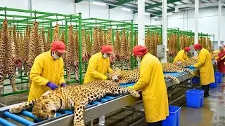 Inside the Luxury Leopard Leather Production: From Raw Hides to Premium Products