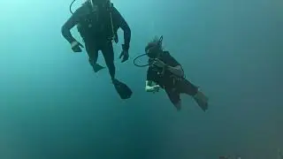 Snorkeling and Diving Experience 🌊🐠