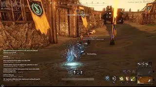 When Low Levels Attack a Max Level in MMO's (New World)