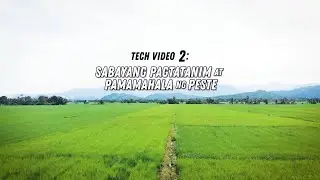 Tamang sabayang pagtatanim at pamamahala ng peste (Tech Video 2)